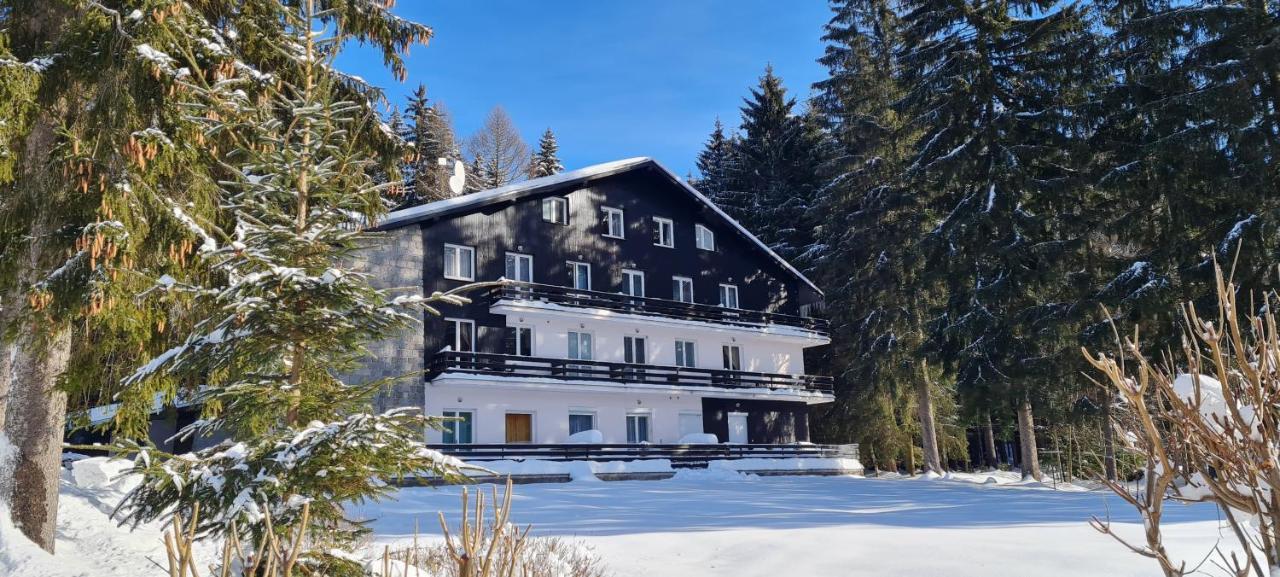Apartman Mumlava Harrachov Eksteriør billede